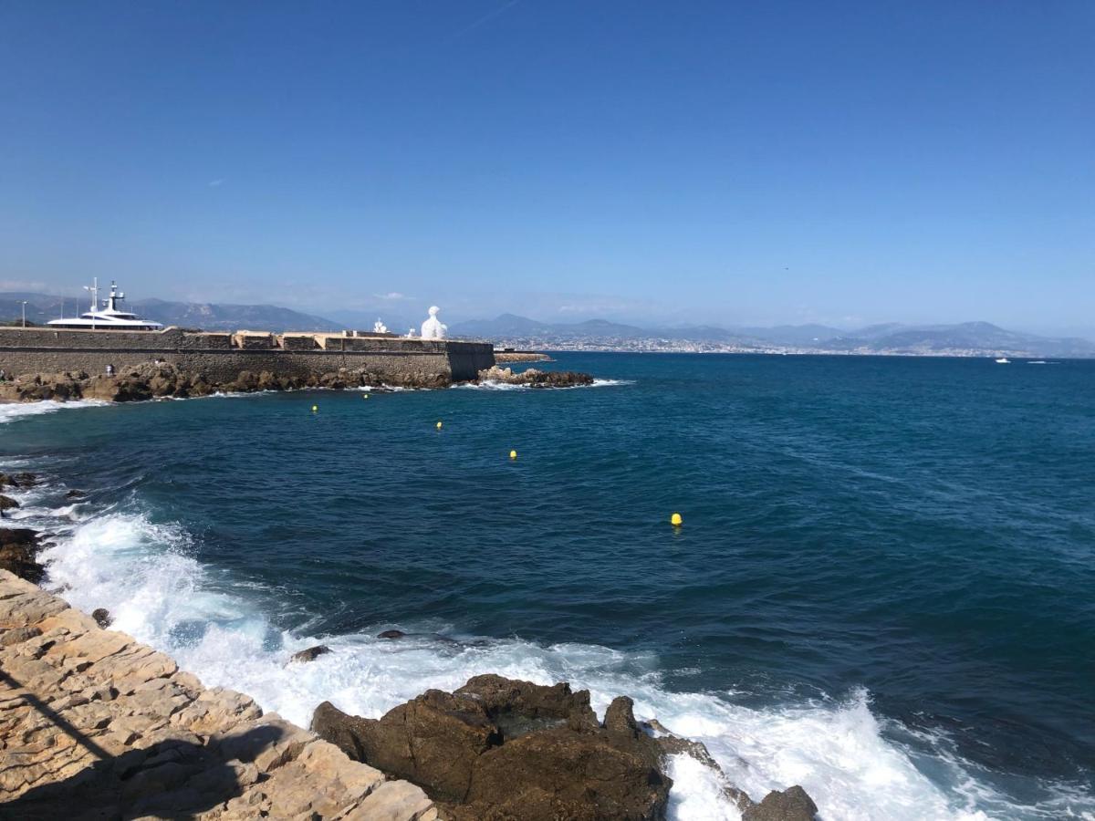 Vieil Antibes, Ravissant 2P Avec Petite Terrasse公寓 外观 照片